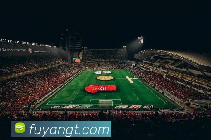 6686体育平台生态图