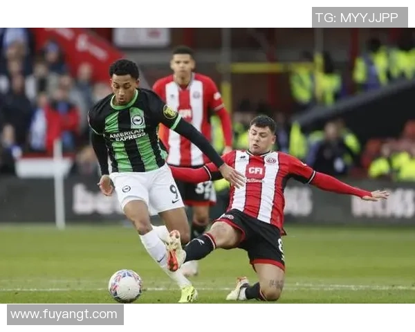 谢菲尔德星主场迎战赫尔城全力争胜展现实力与斗志